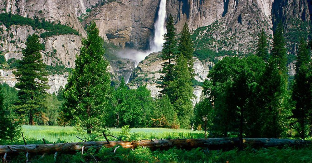 Yosemite National Park