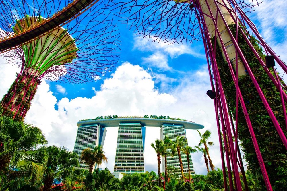 Sky Park Garden