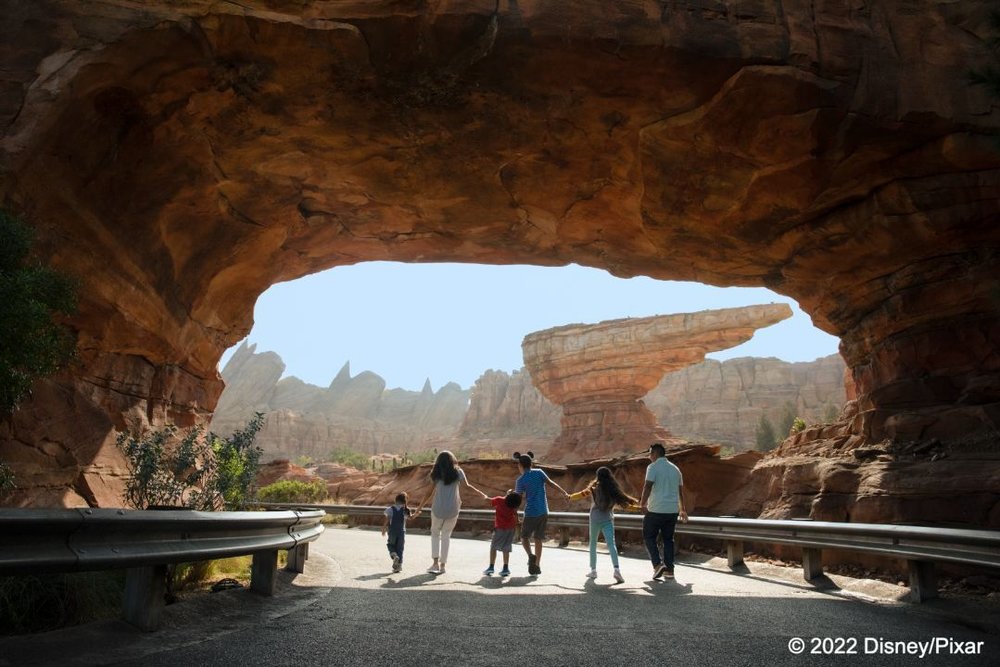 4100 ディズニーランド リゾート　カーズランド　家族