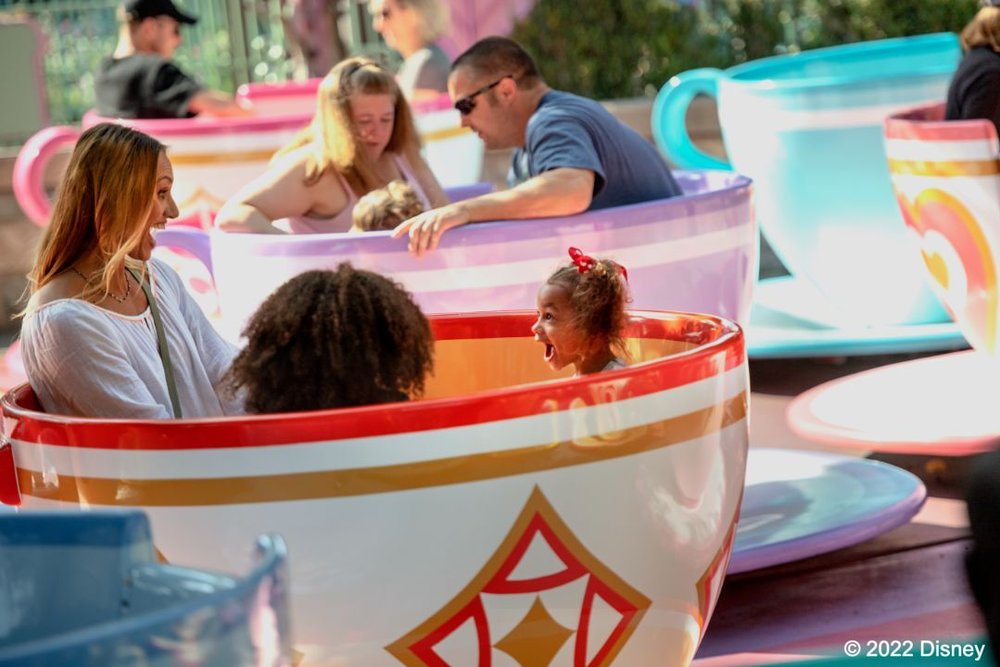 4100 ディズニーランド リゾート ティーカップ