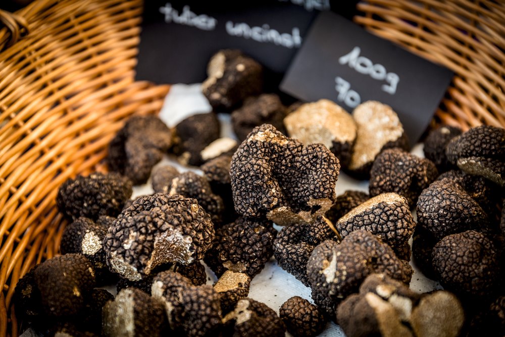 瑞士 秋天 旅行 美食 火車 黑松露