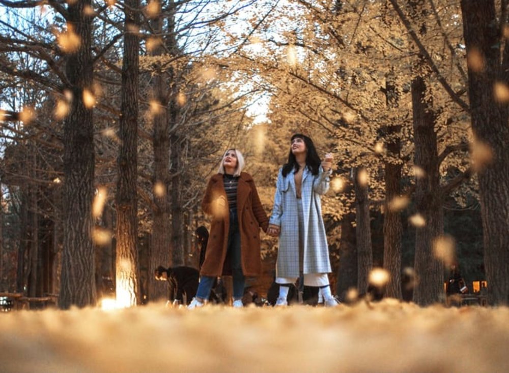 nami island korea seoul