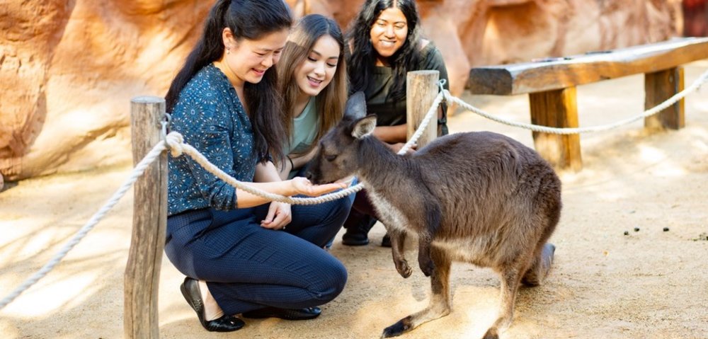 雪梨野生動物園
