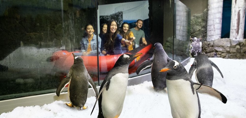 雪梨海洋生物水族館