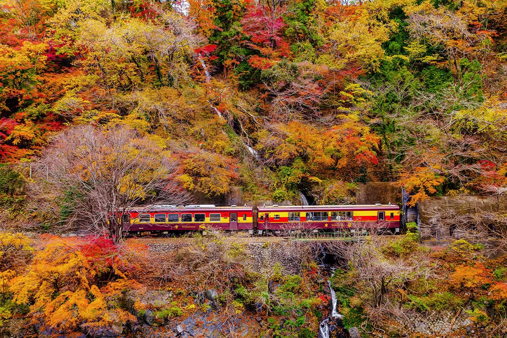 autumn foliage in japan 2022