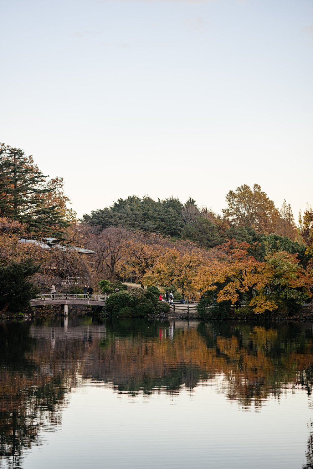 autumn foliage japan 2022
