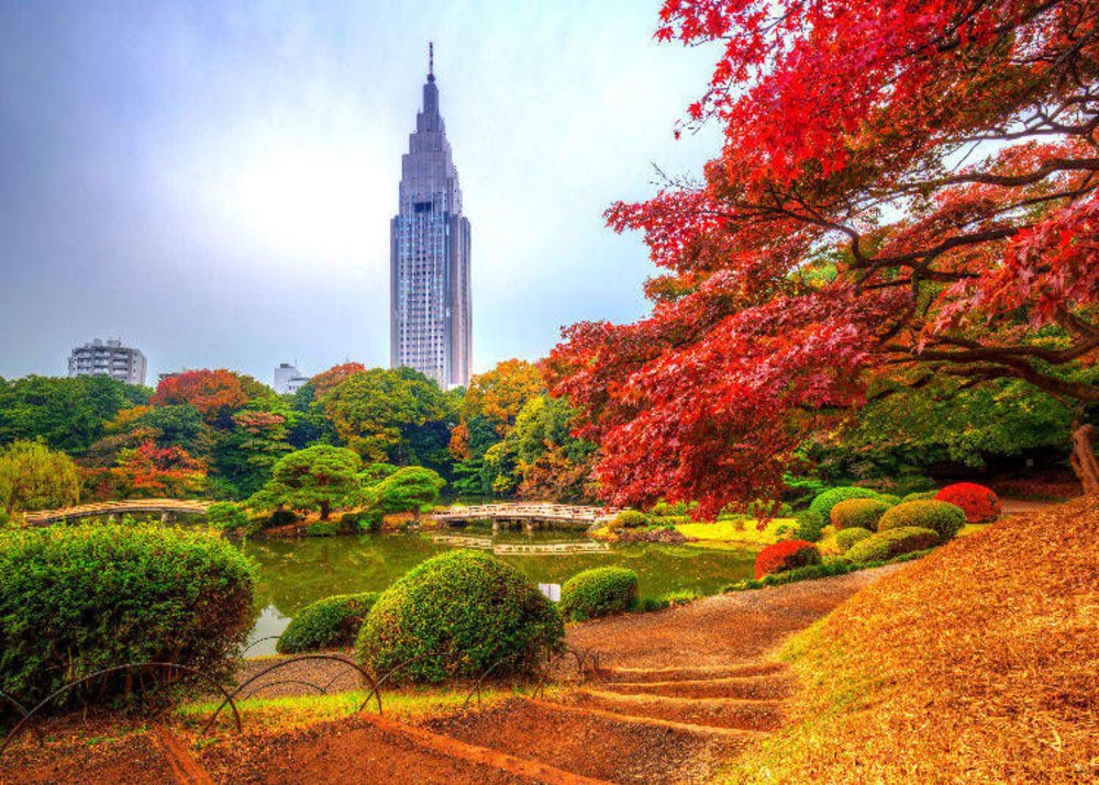 autumn foliage japan 2022