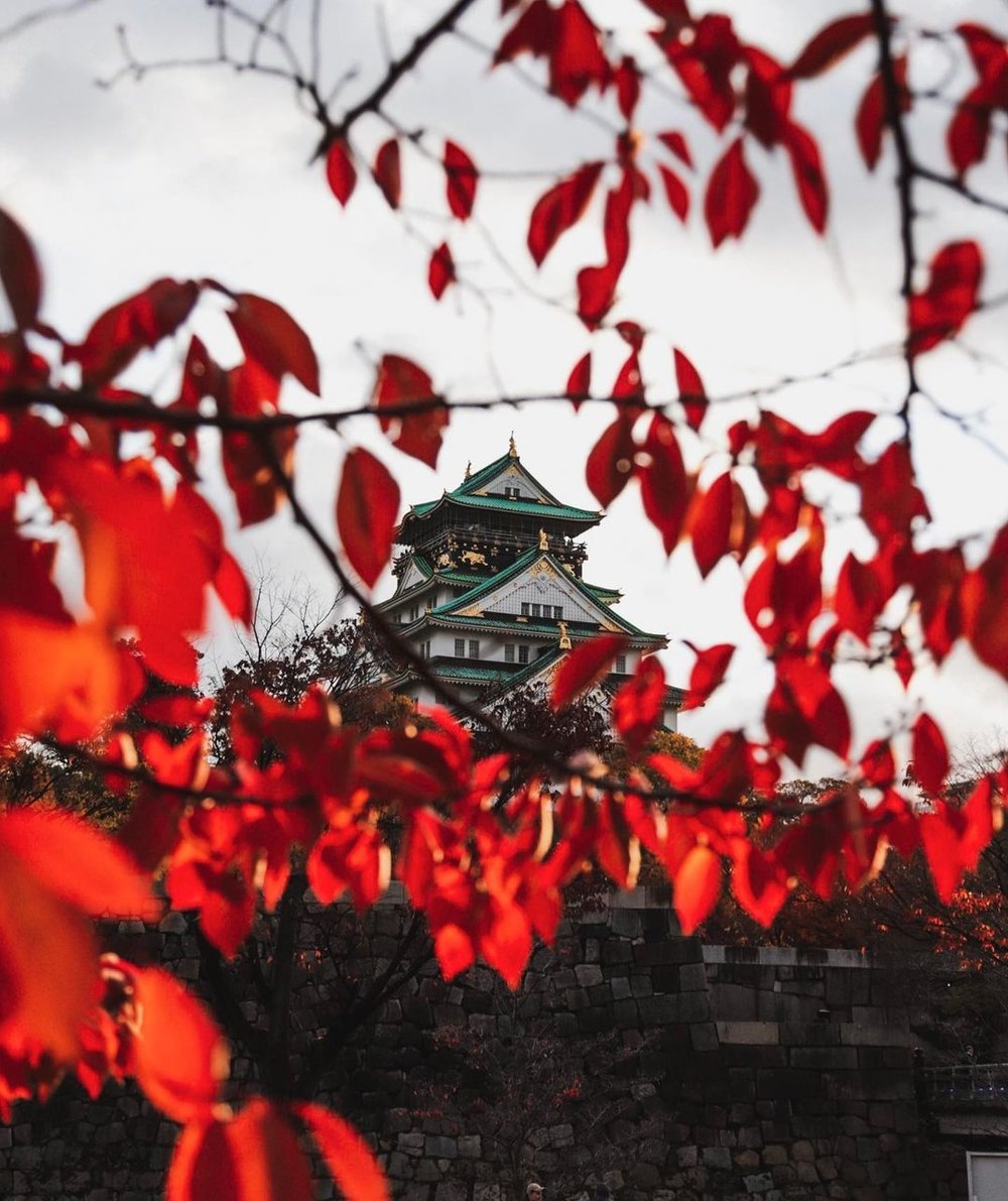 autumn foliage japan 2022