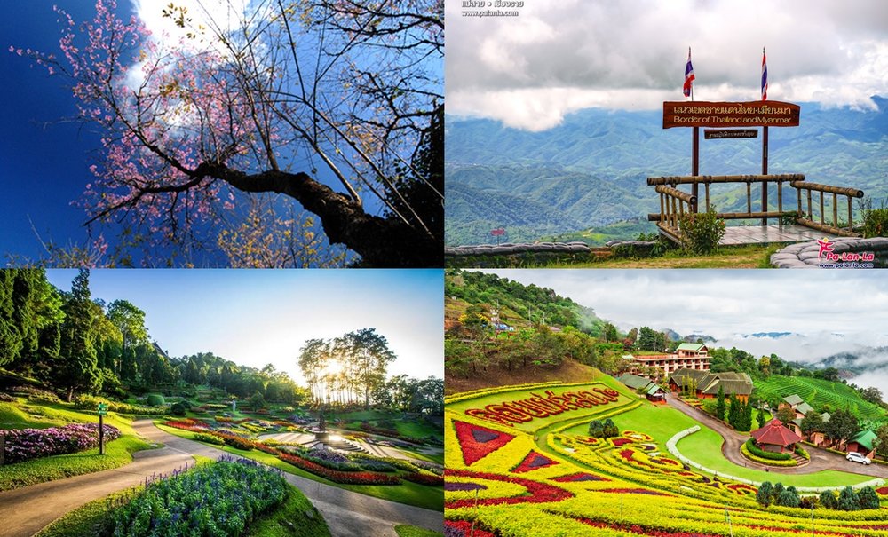 Road Trip จังหวัดเชียงราย – ดอยแม่สลอง – ดอยตุง – แม่สาย (ขอบคุณรูปจาก Kapook Palanla Mthai)