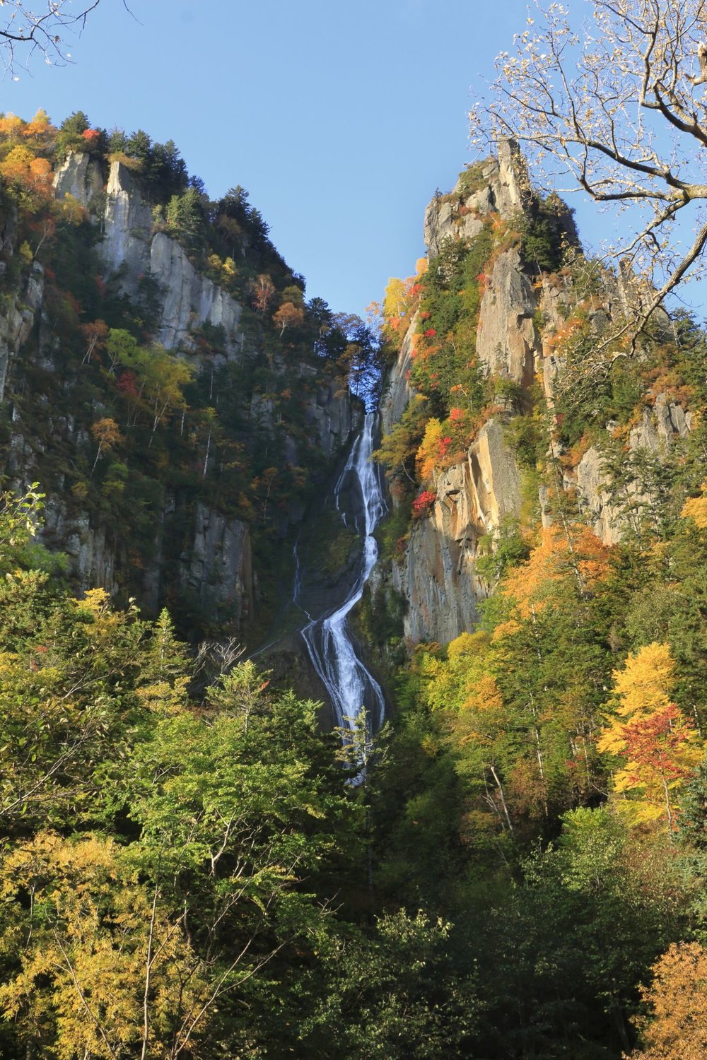 autumn foliage japan 2022