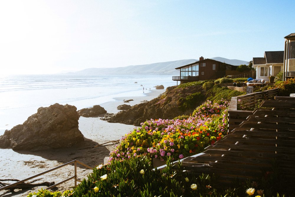 Houses near the beach