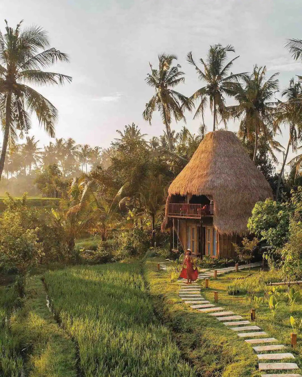 Rice fields and nipa hut