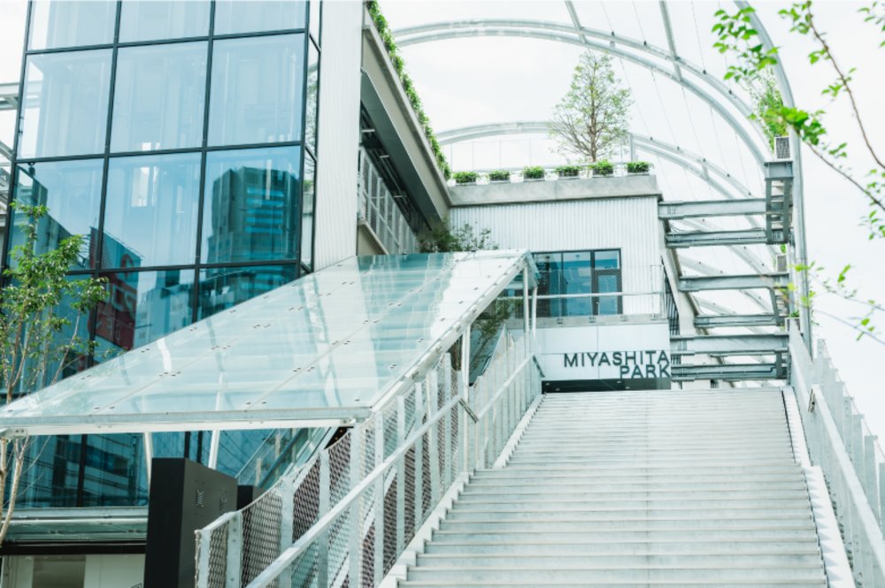 new things to do in japan