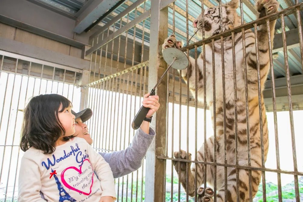 伊豆アニマルキングダム