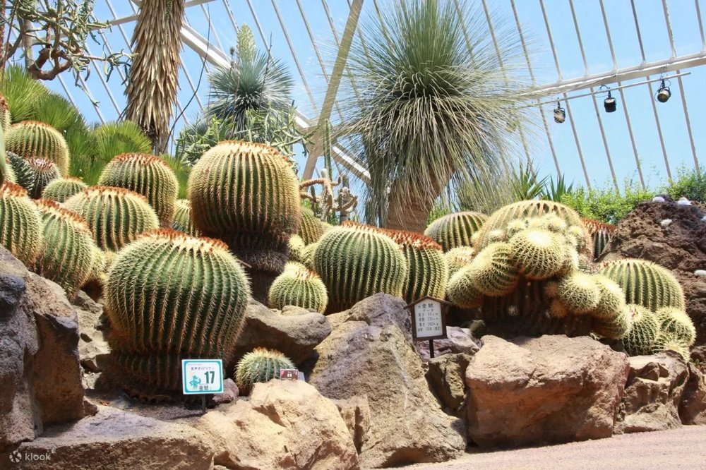 32135 伊豆シャボテン動物公園