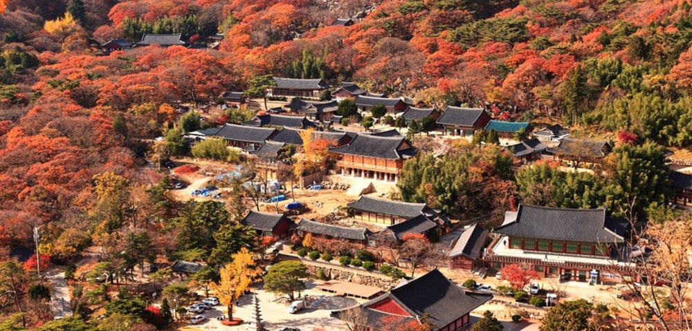 釜山賞楓住宿推薦