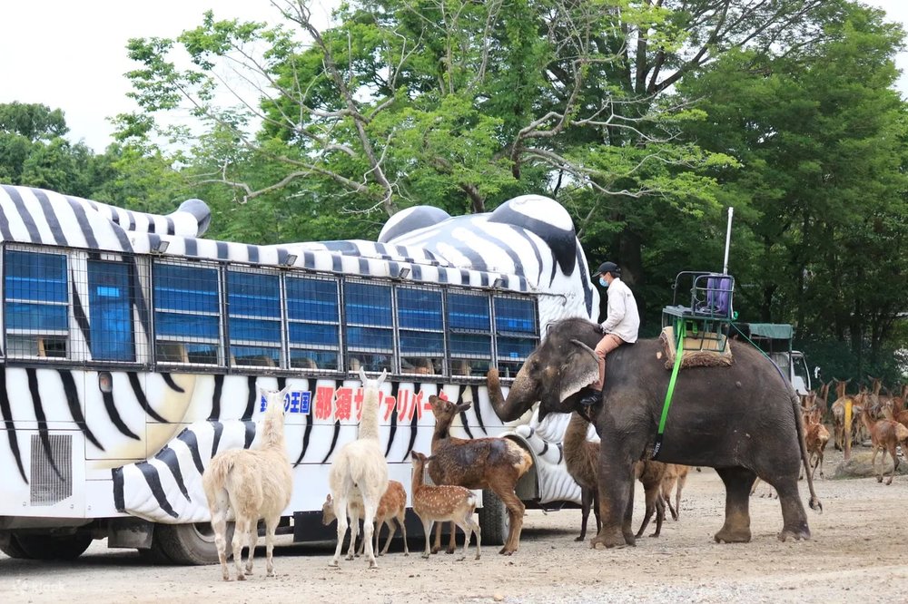 那須サファリパーク