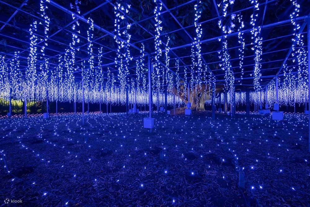 14462 新宿発・那須高原 紅葉狩り〜雪景色を楽しむ日帰りツアー あしかがフラワーパークのイルミネーション