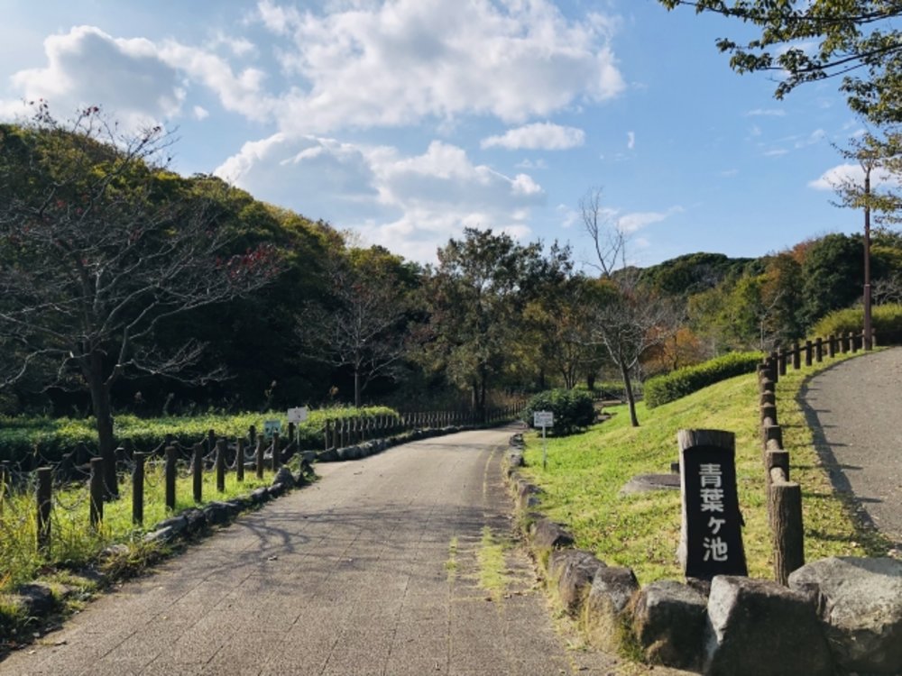 青葉の森公園