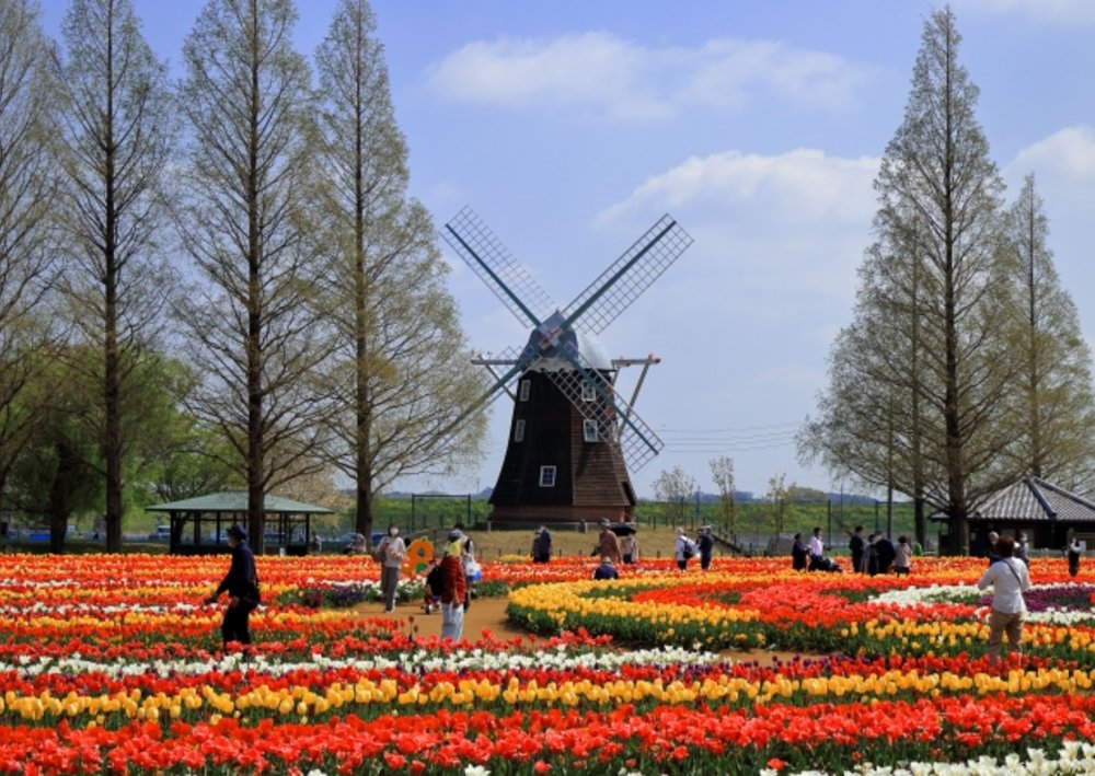 あけぼの山農業公園