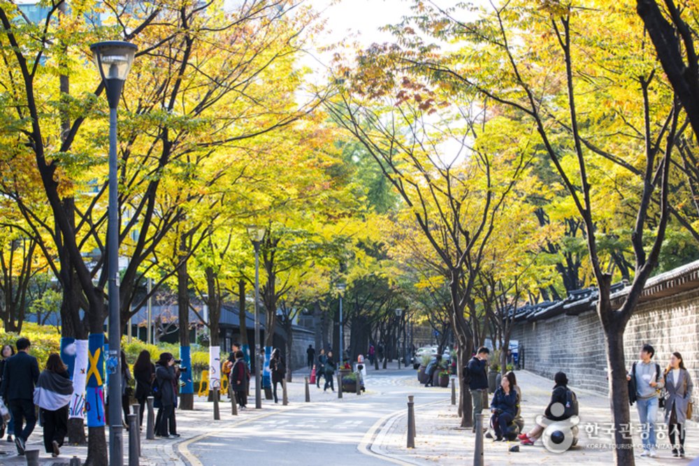 People walking around Deoksugung Palace Stonewall