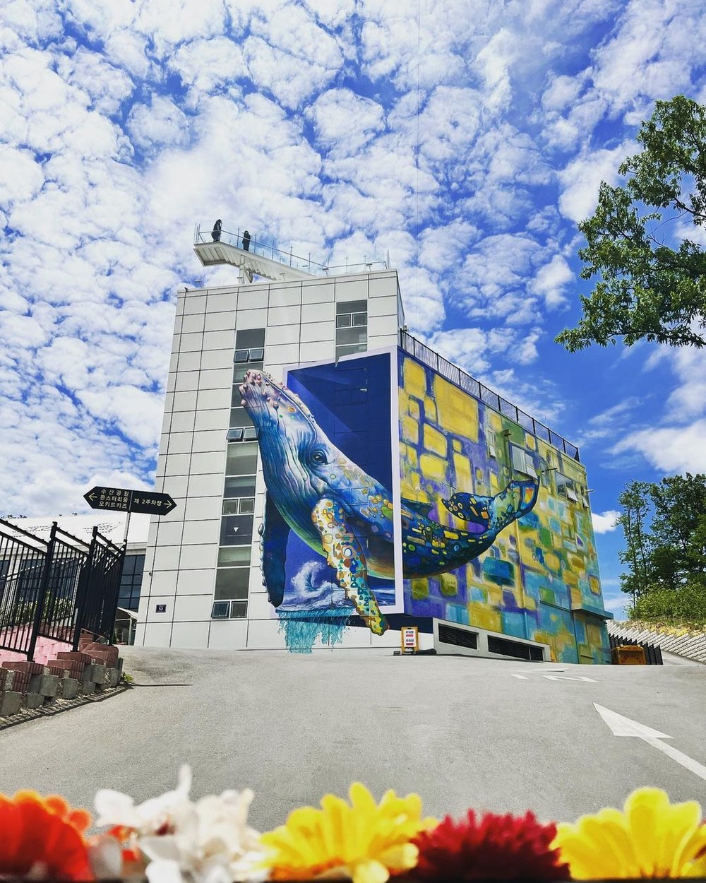 Susan Park Café Cafe