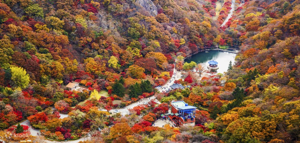 韓國紅葉2023 賞楓時間表 紅葉景點推介