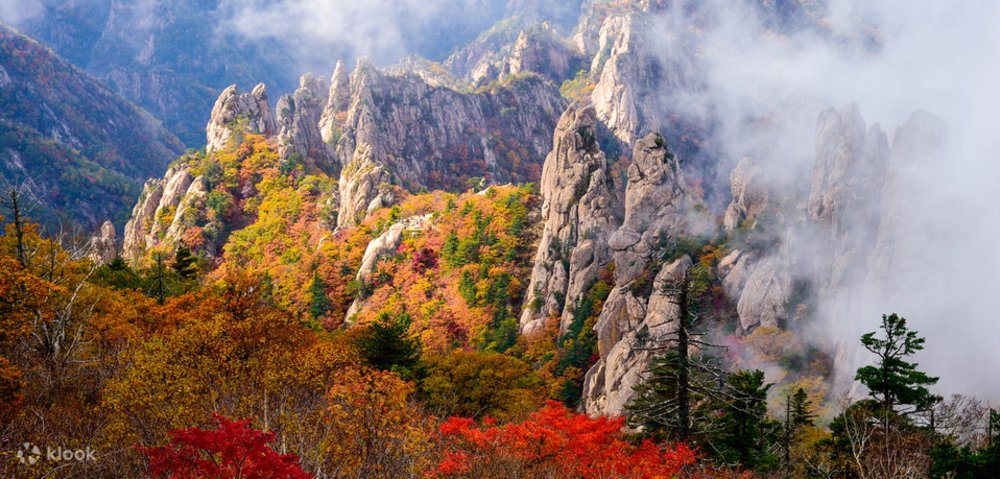 韓國紅葉2023 賞楓時間表 紅葉景點推介