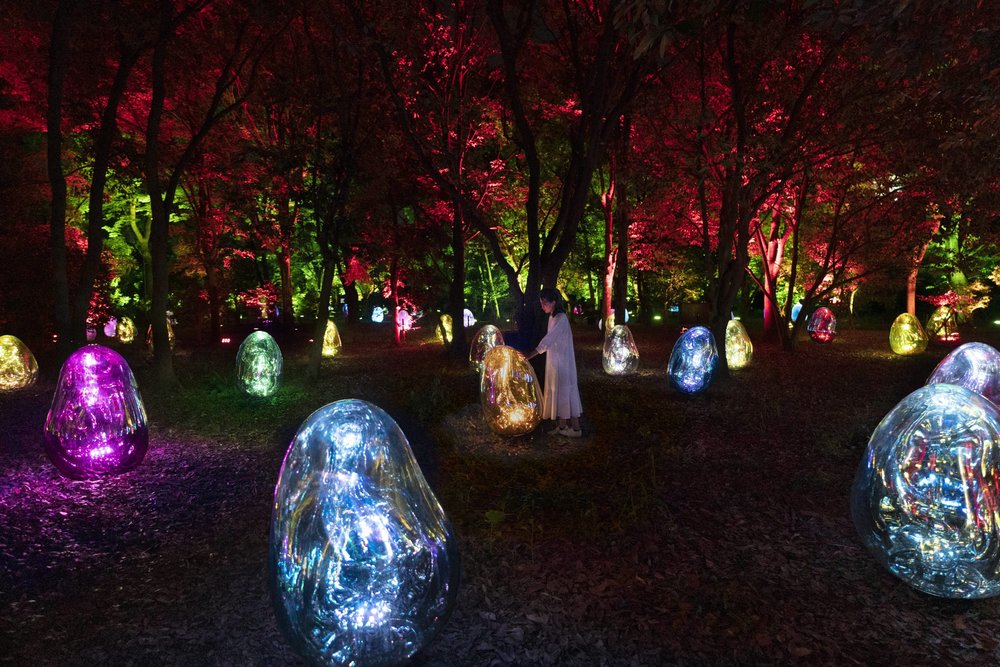 大阪長居公園 TeamLab Botanical Garden