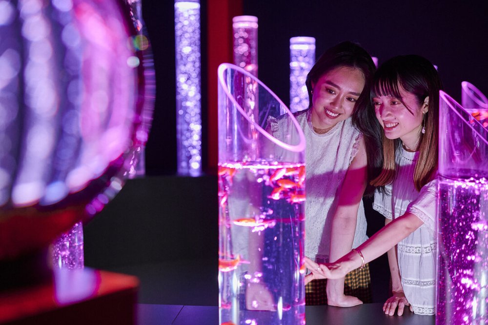 アートアクアリウム美術館