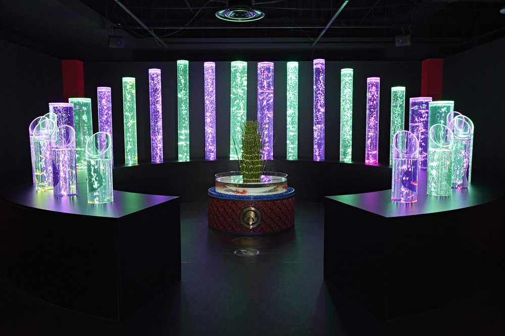 アートアクアリウム美術館