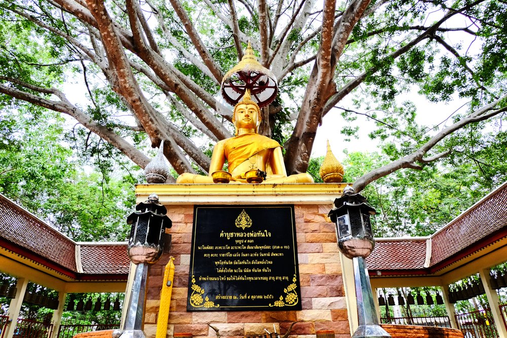 Wat Nong Prue in Thailand