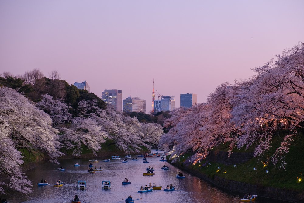 tokyo meiji shrine