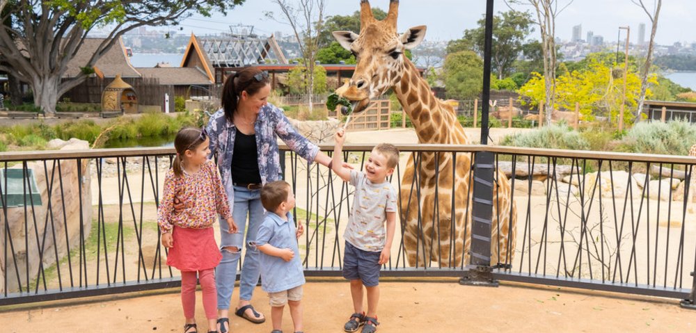 澳洲跨年行程推薦