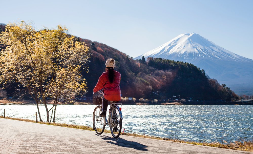 mount fuji from tokyo japan
