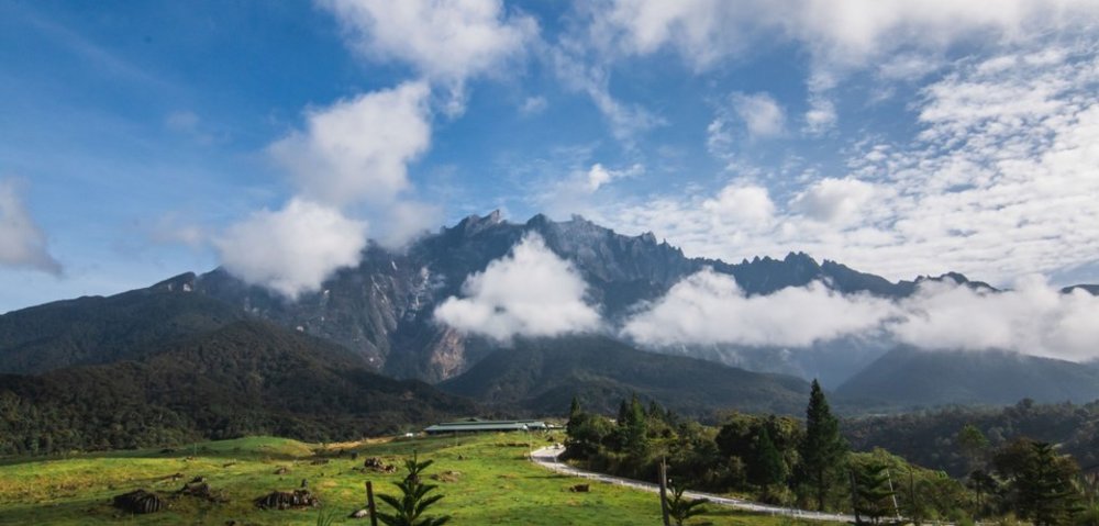 沙巴景點神山牧場(Desa奶牛牧場)