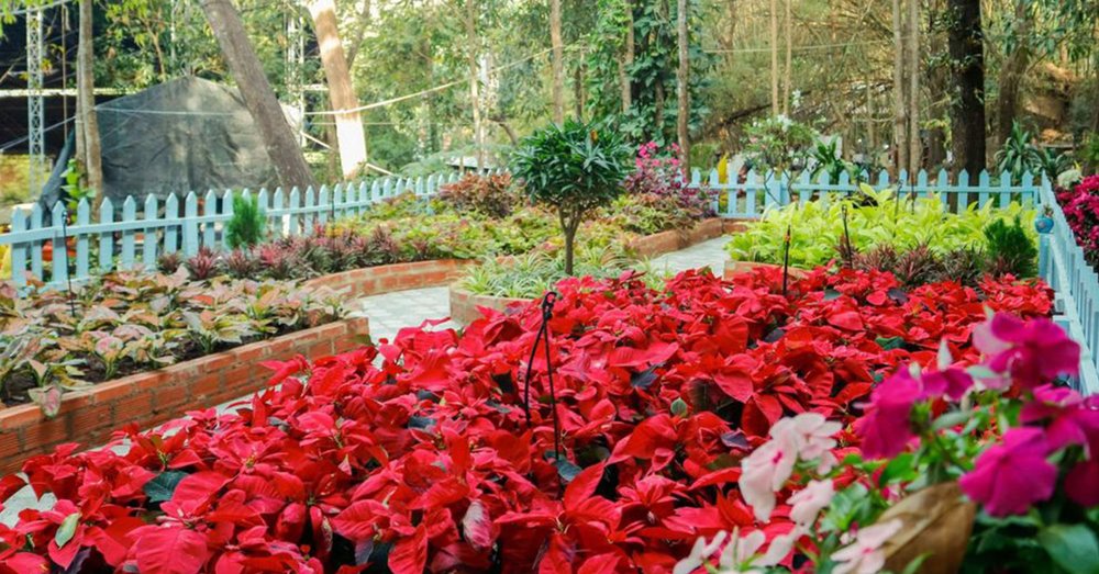 Vườn Lâm Tỳ Ni