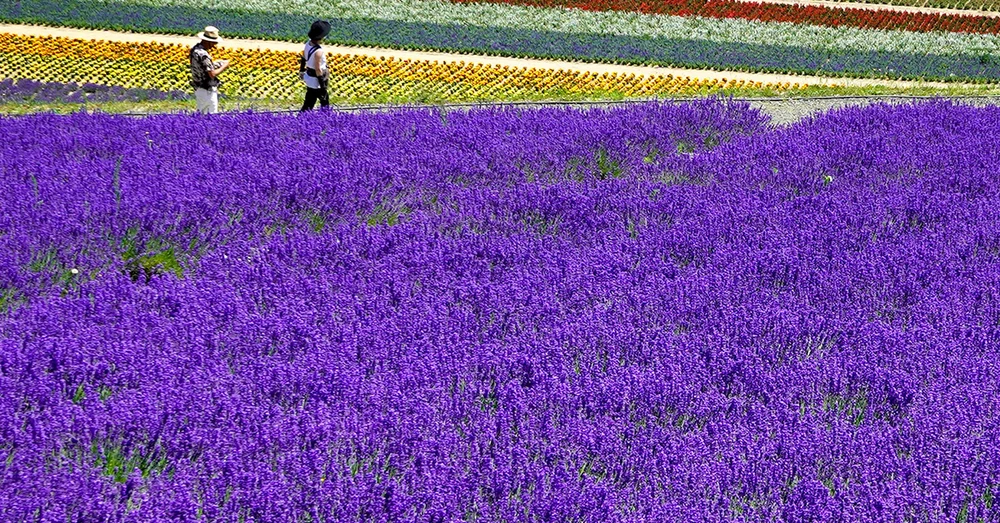 dia-diem-du-lich-hokkaido