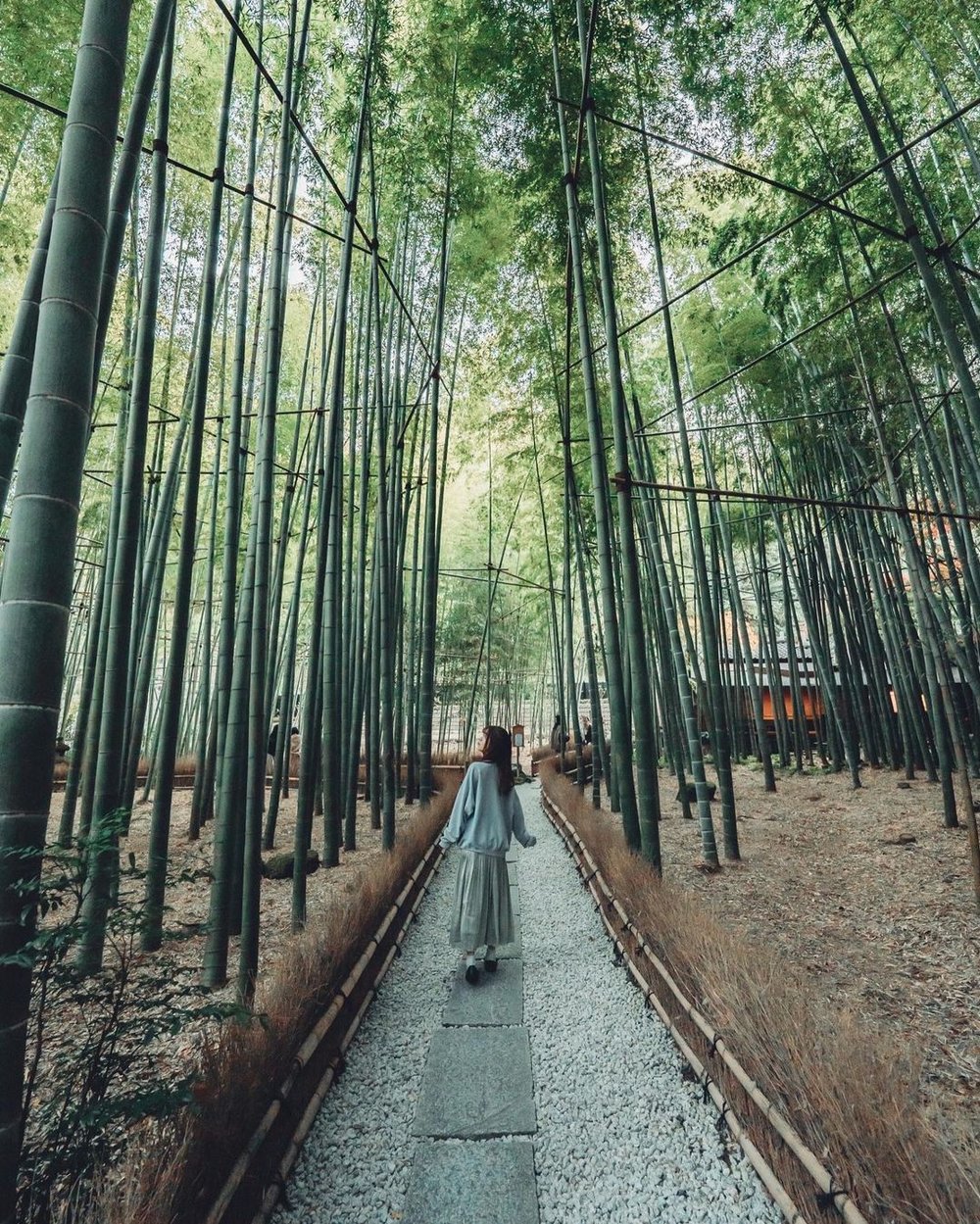 報国寺 @mana_photo29