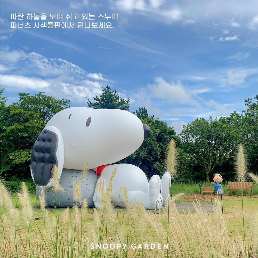 濟州 Snoopy Garden