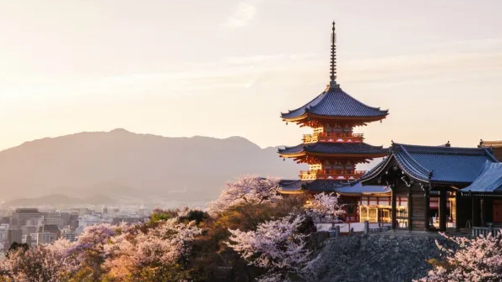 See awesome sights on your Japan trip!