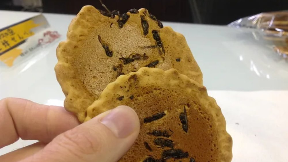 Try a wasp cracker at least once in your life! 