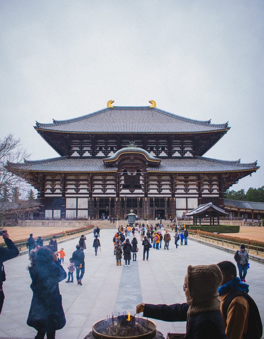 nara japan travel itinerary deer park
