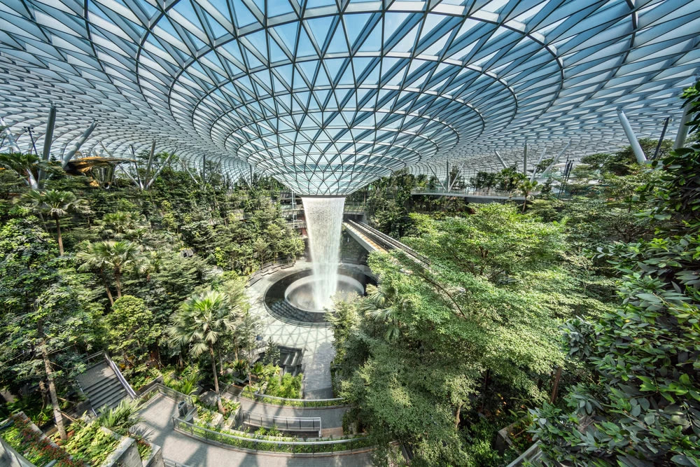 Foundatin with trees