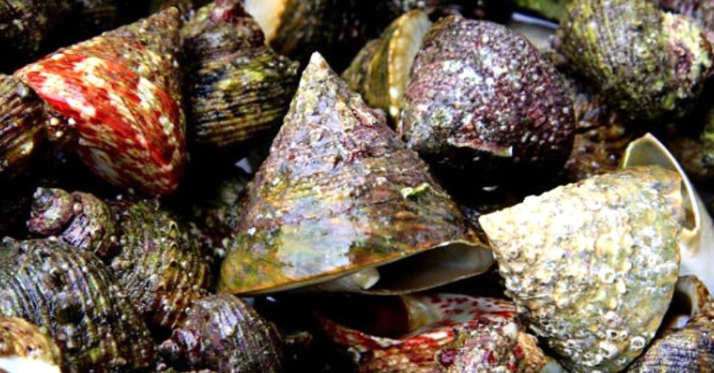 Quán Hảo Phúc Lộc