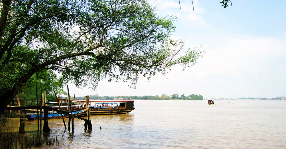 Cồn Phụng - Điểm Đến Hấp Dẫn Trên Sông Nước Miền Tây