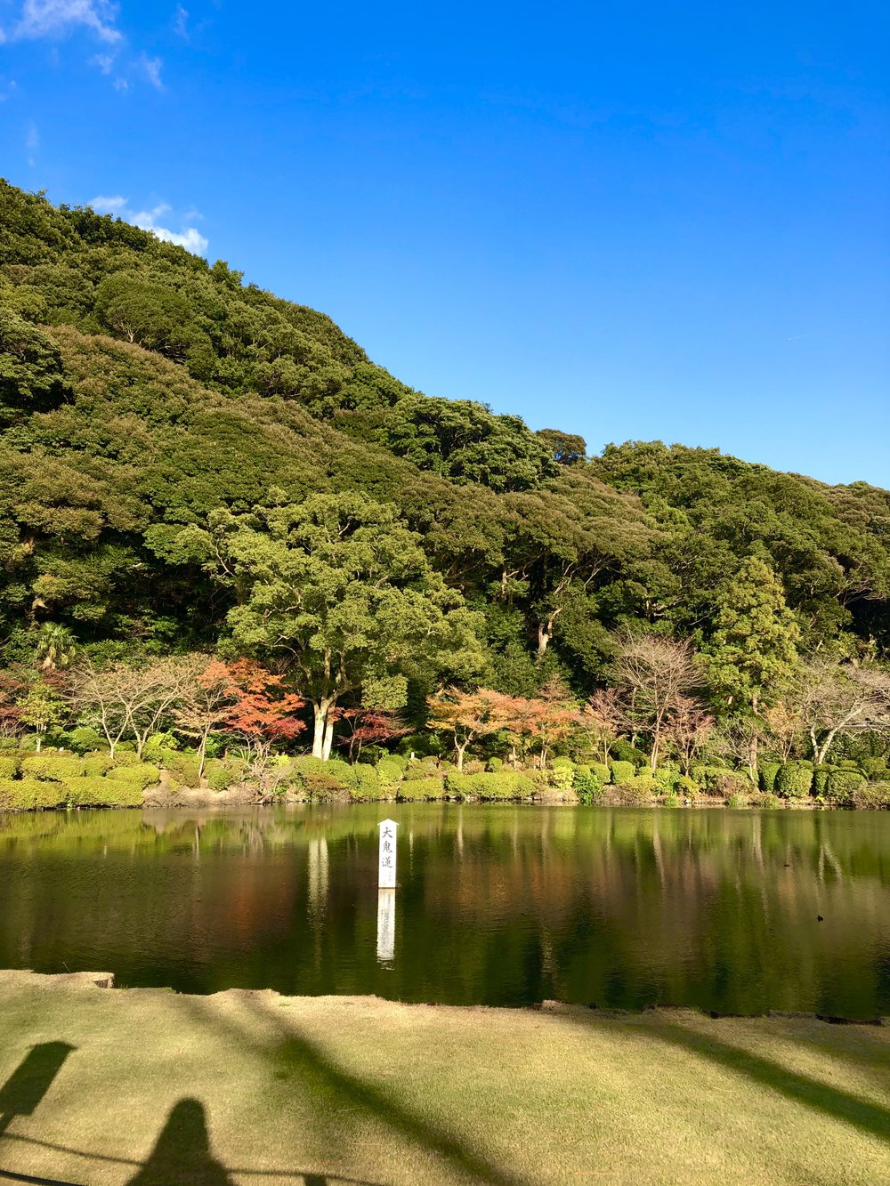 beppu oita kyushu fukuoka hot springs onsen