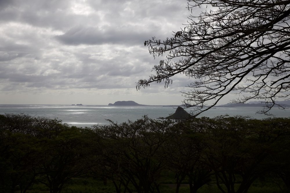 ベストオブクアロアツアー　ジャングルエクスペディション