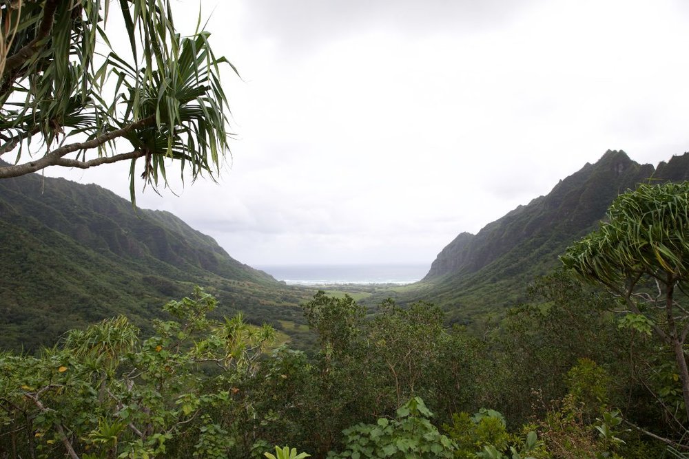 クアロアランチ 広大な土地