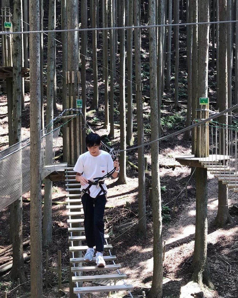 フォレストアドベンチャー・丹波ささやま(兵庫県)